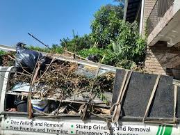 Best Demolition Debris Removal  in Rayre, MO